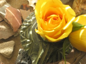 IMG_0840