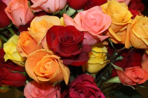 100th Anniversary House (1 of 370)